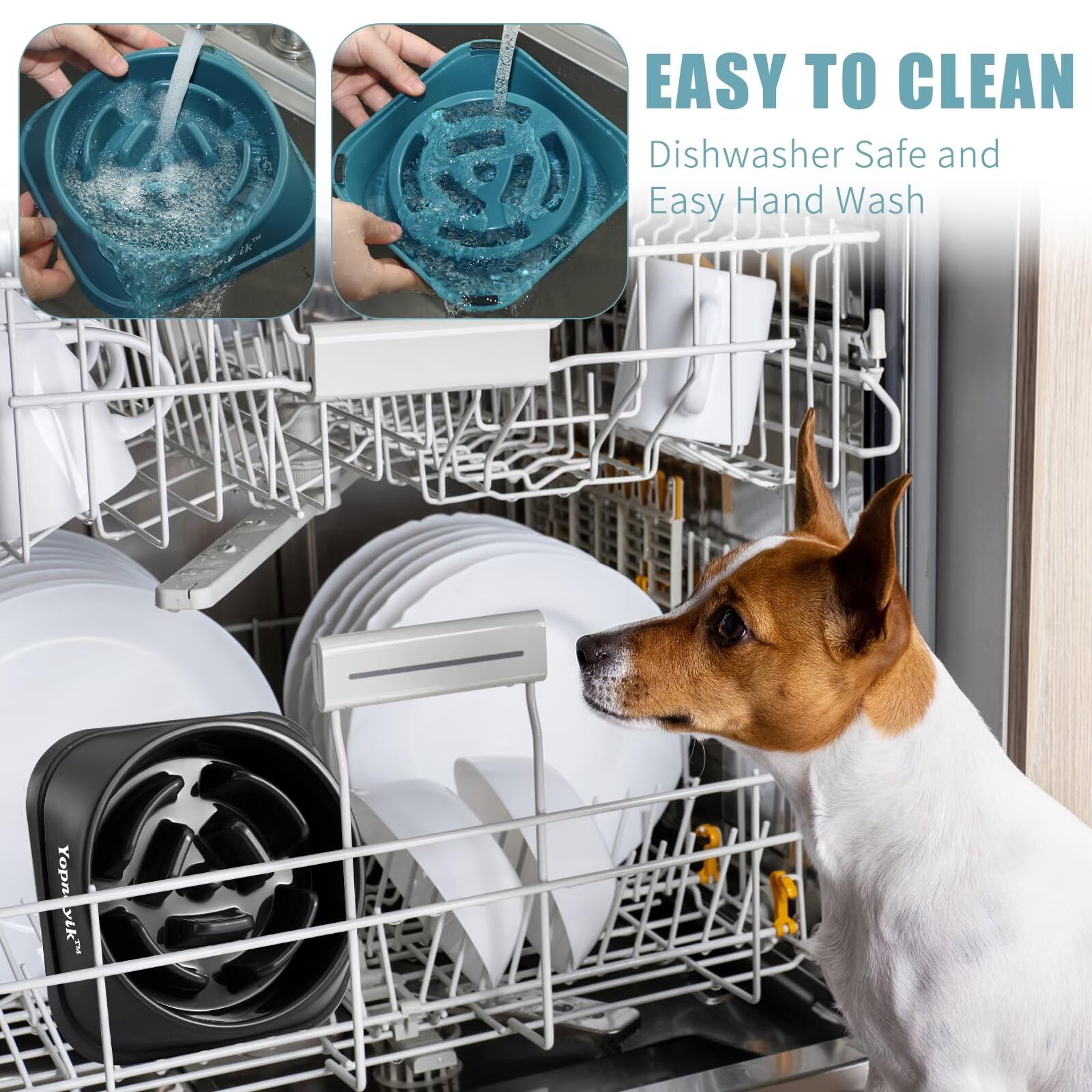 2 Pack Slow Feeder Dog Bowls for Healthy Eating, Non-Slip Feeder