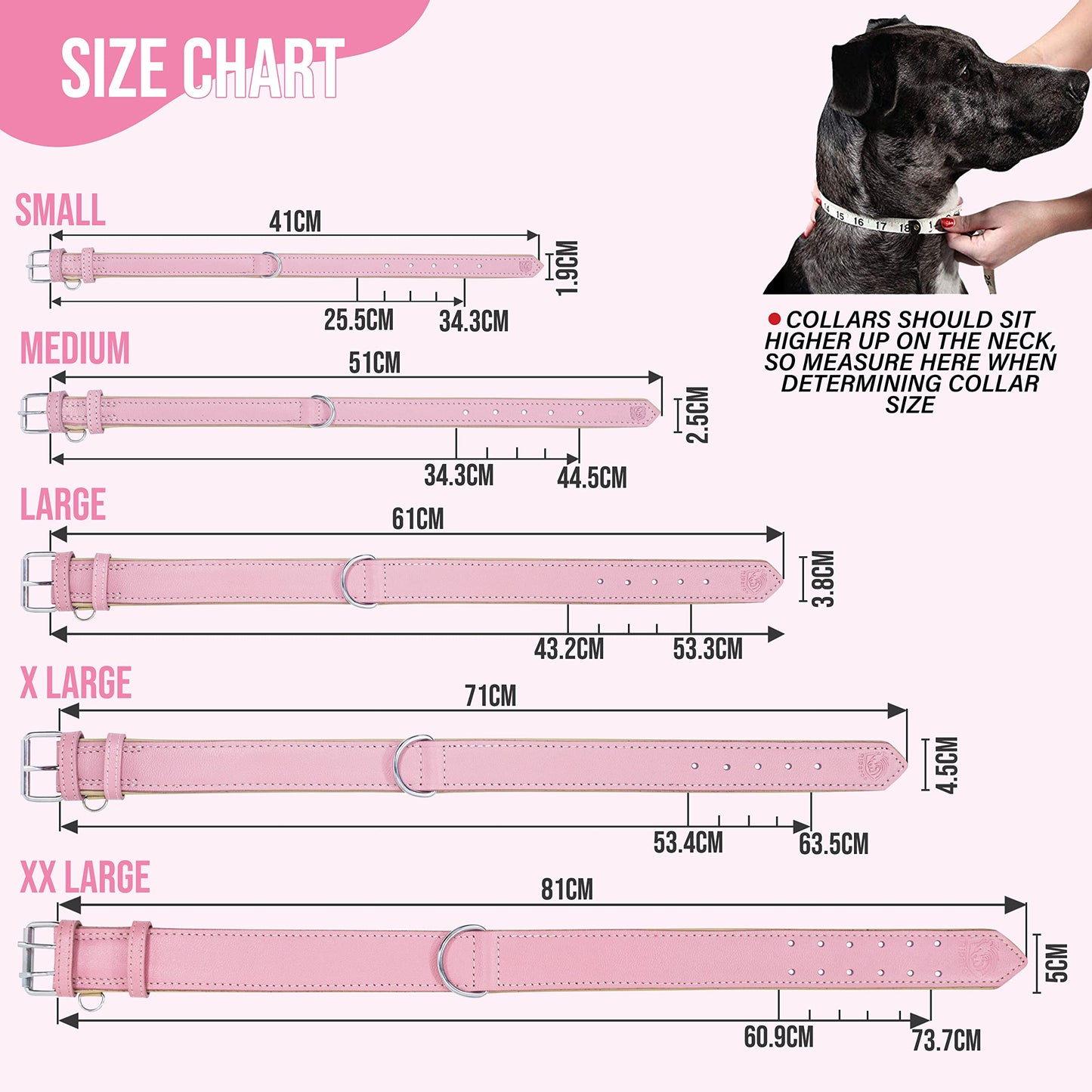Riparo Dog Collar, Puppy Collar, Leather Dog Collar with Dog Collar