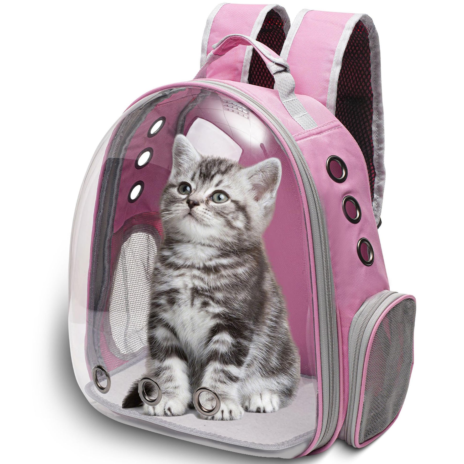 Vivicreate Large Cat Backpack Carrier for Travel and Hiking Carrier