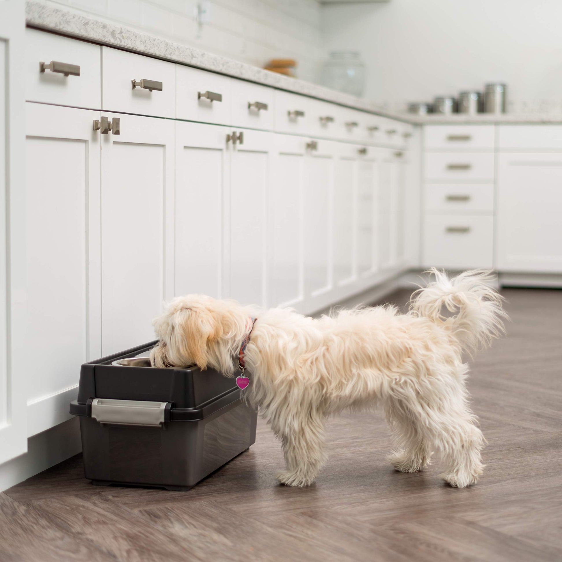 IRIS USA Dog Bowls Elevated with Storage, 9" H Raised Feeding Bowl