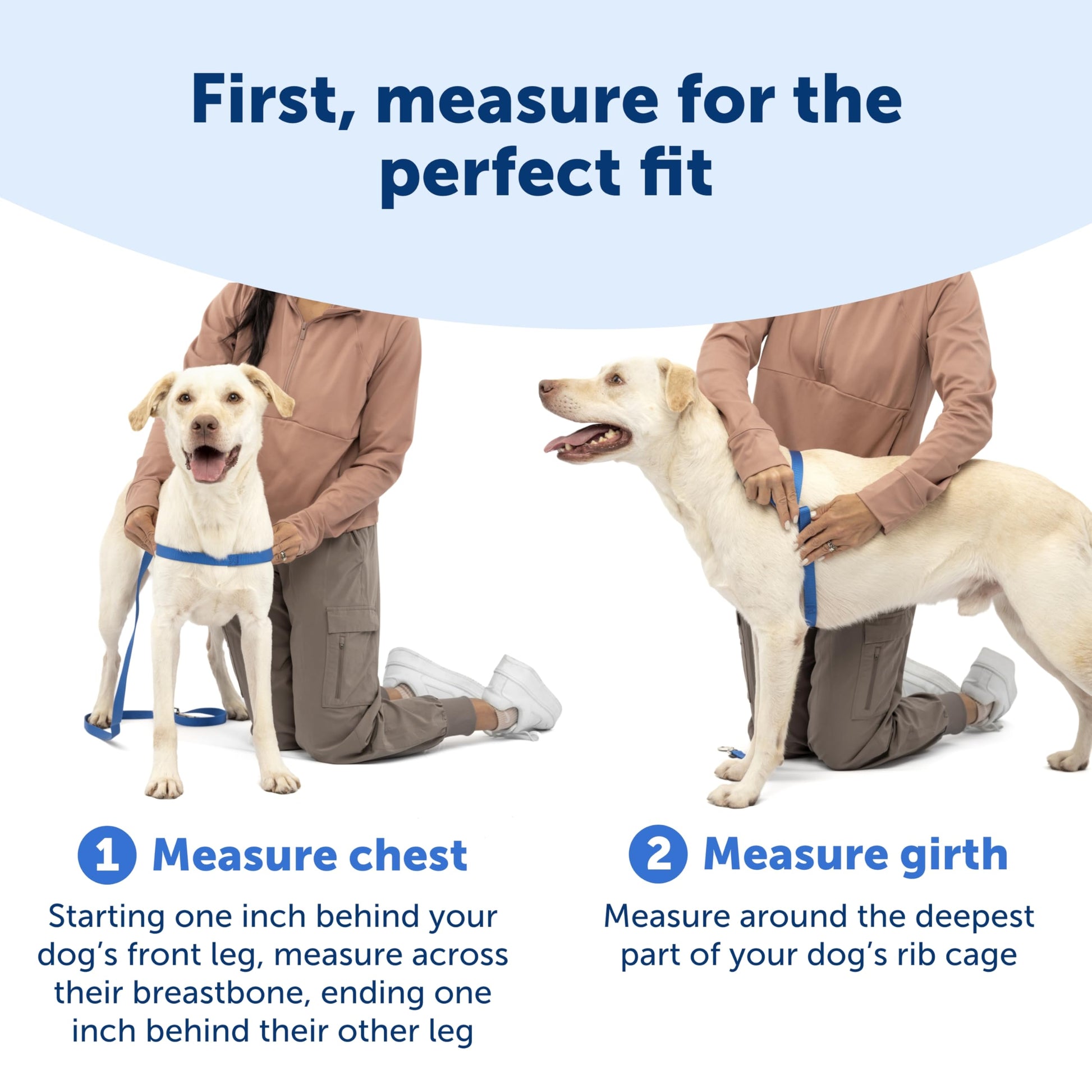 PetSafe Easy Walk No-Pull Dog Harness Harness to Help Stop Leash