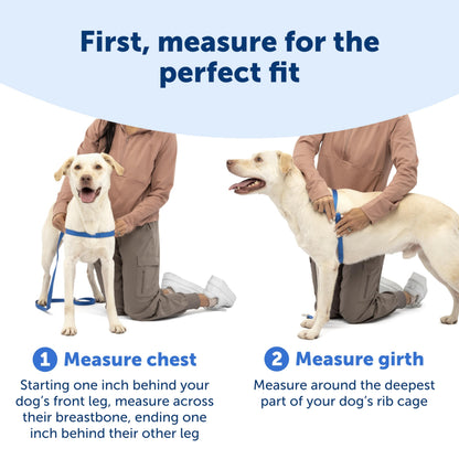 PetSafe Easy Walk No-Pull Dog Harness Harness to Help Stop Leash