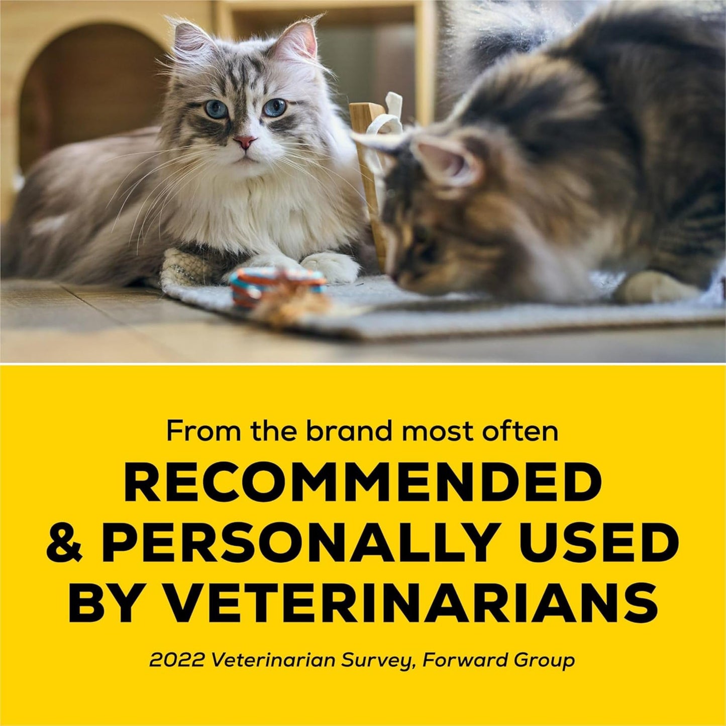 Purina Tidy Cats LightWeight 24/7 Performance Odor control, Box