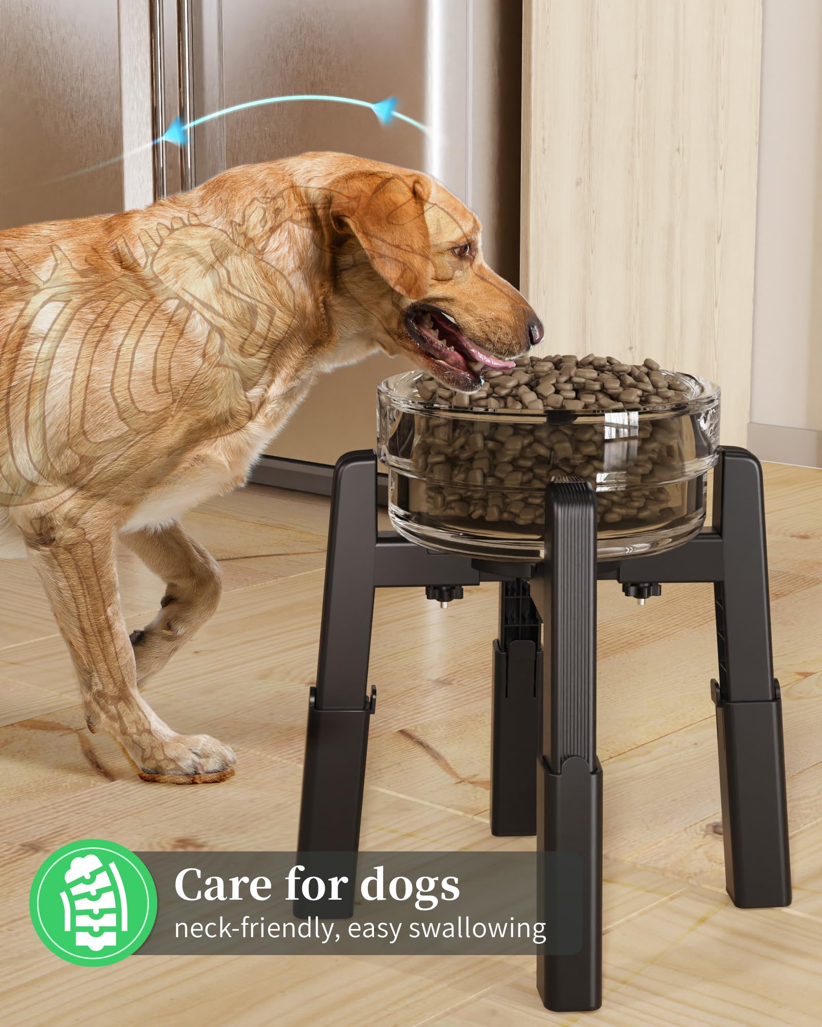 CZPET Dog Bowl Stand with Adjustable Height and Width [Stand Bowl