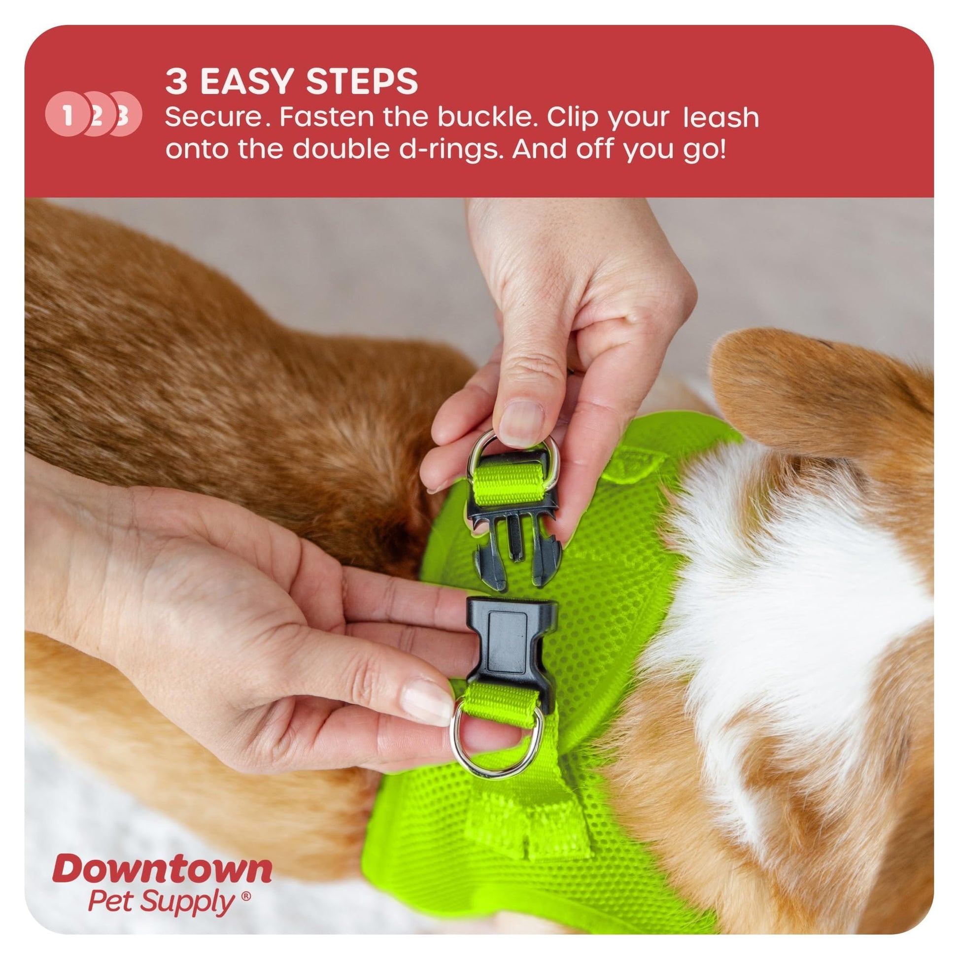 Downtown Pet Supply Step in Dog Harness, XX-Large, Atomic Harness