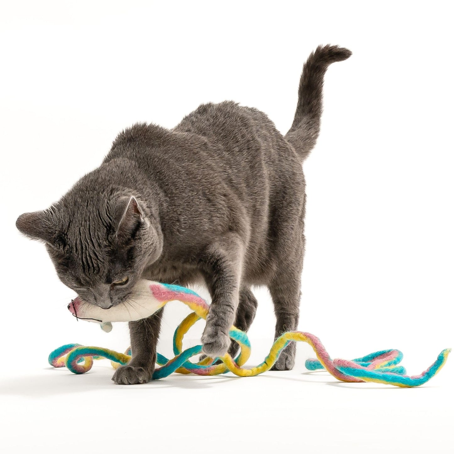 Catch a Mouse Wool Cat Toy 6-Foot Tail Indoor Cat Kittens. Pride Mouse