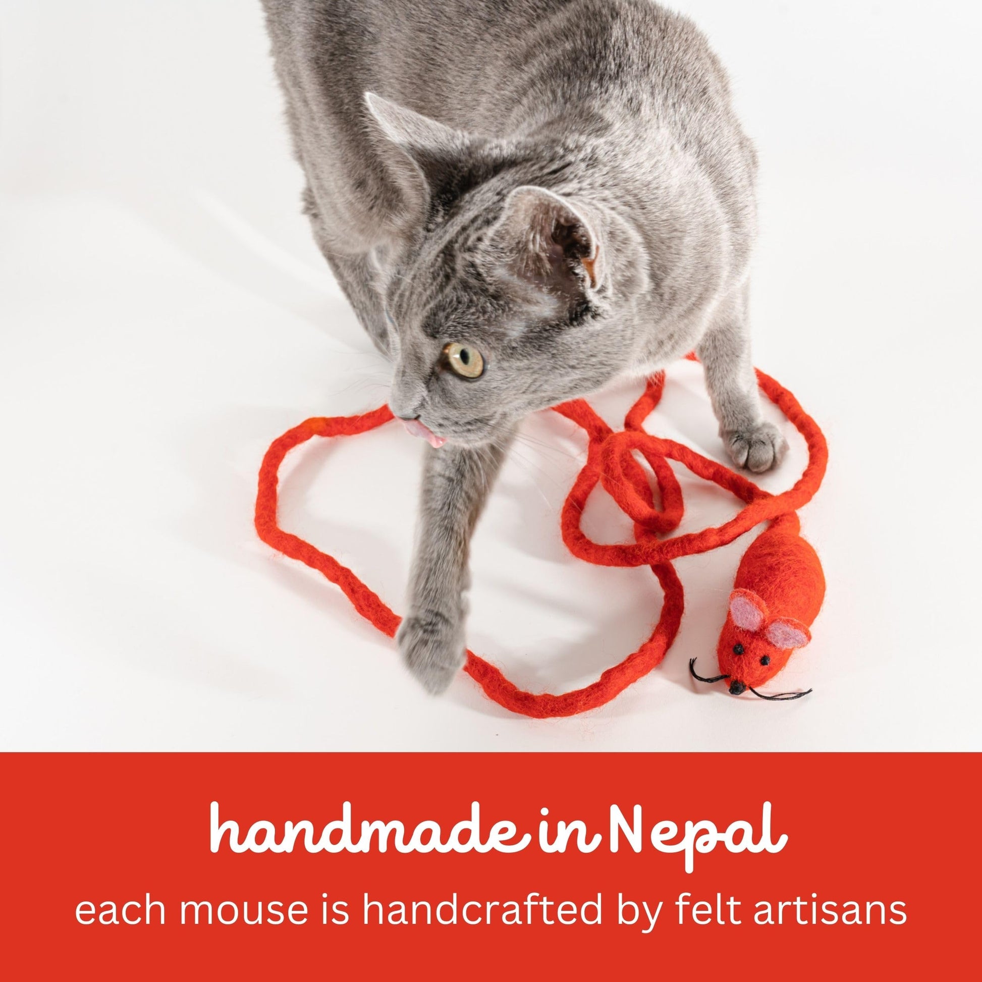 Catch a Mouse by The Tail Wool Cat Mouse Toy with a 6-Foot Tail Catnip