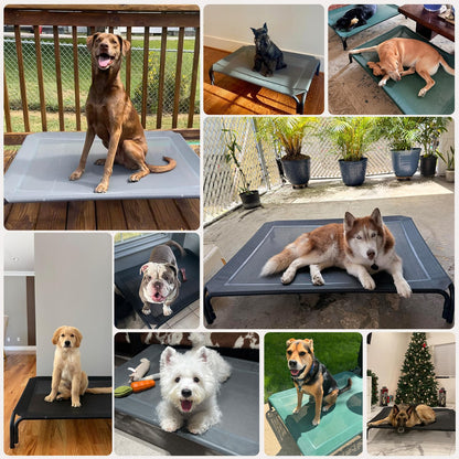 Elevated Dog Bed Raised Outdoor Dog Cot for Extra Bed