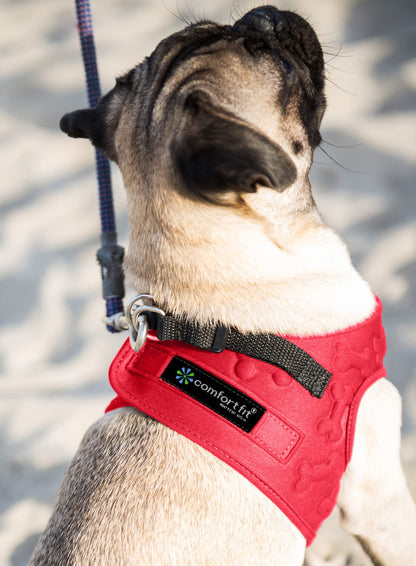 Comfort Fit Dog Harness No Pull No Escape Harness Adjustable Harness