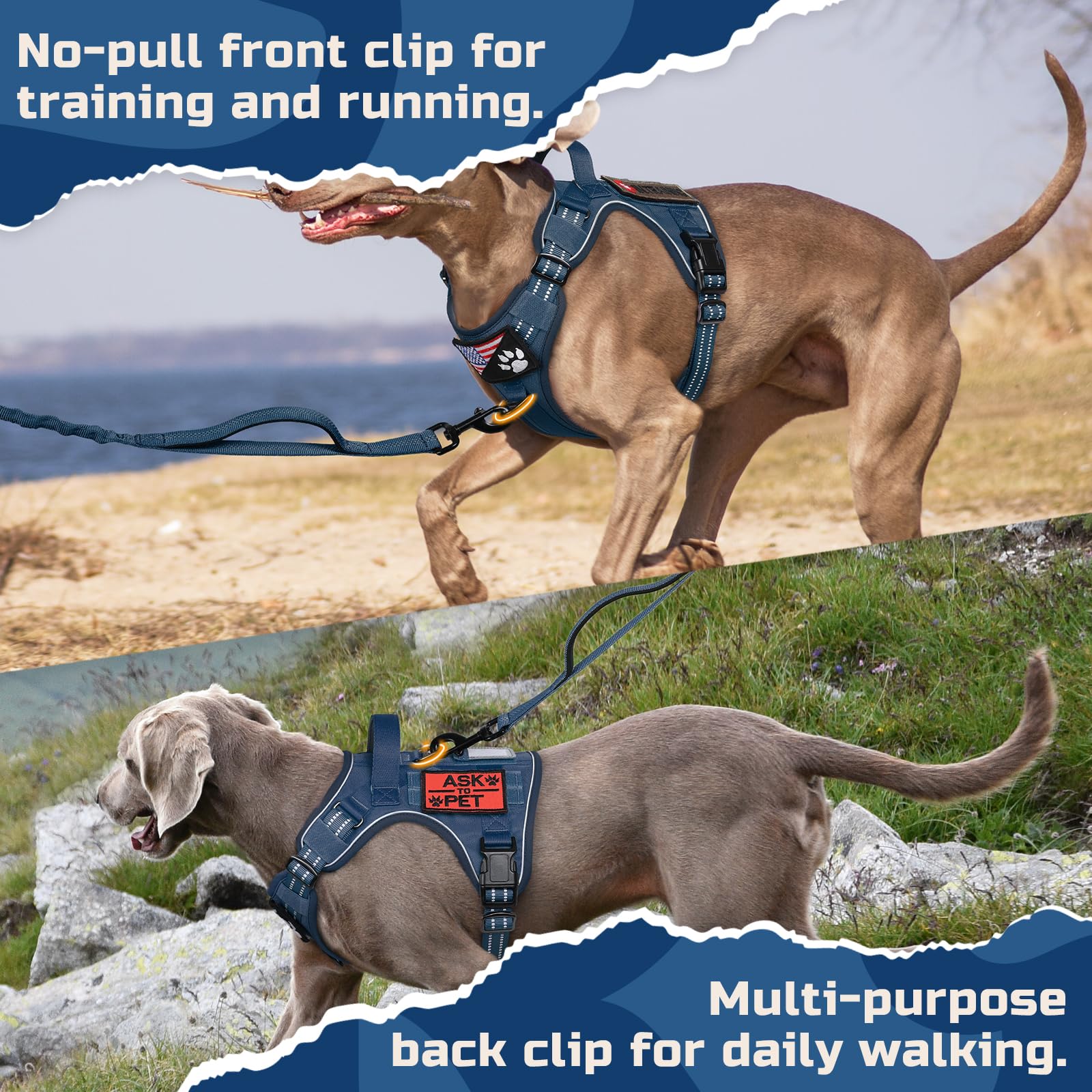 rabbitgoo Dog Harness No Pull, Military Dog Harness Medium Harness
