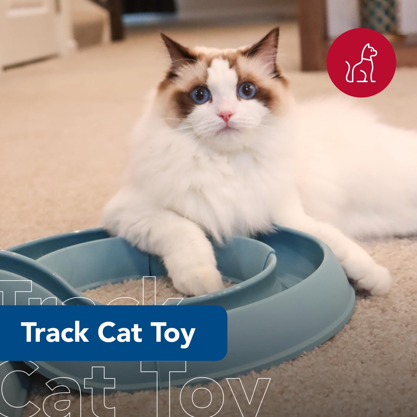 Coastal Pet Turbo Track Cat Toy Cat Ball Toy Racetrack Easy Ball