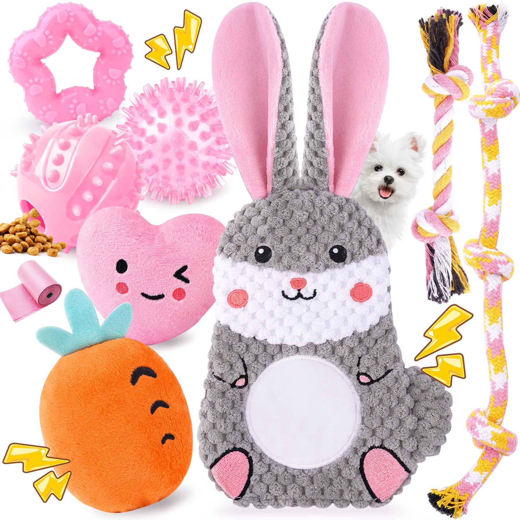 Zeaxuie Puppy Toys for Teething 9 Pack Small Dog Set With Chew
