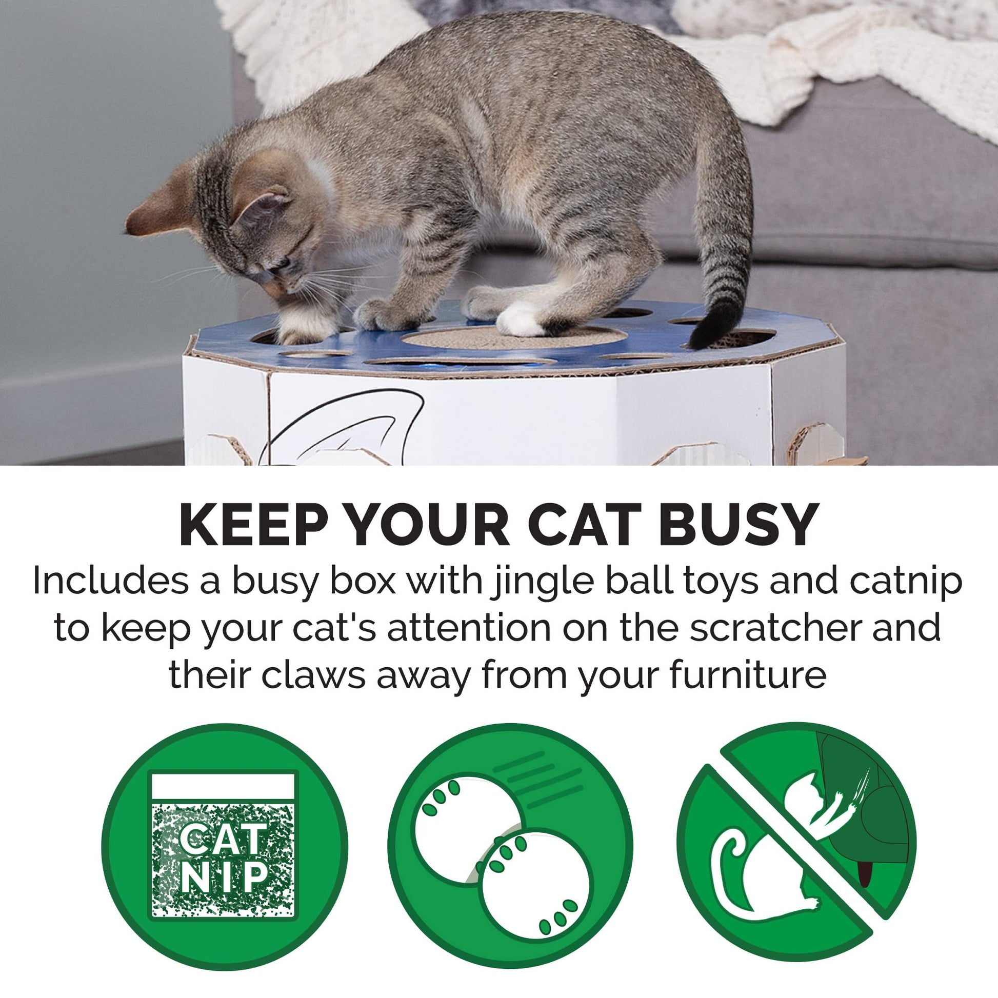 Furhaven Cardboard Hideout w/ Catnip for Indoor Cats, Ft. House