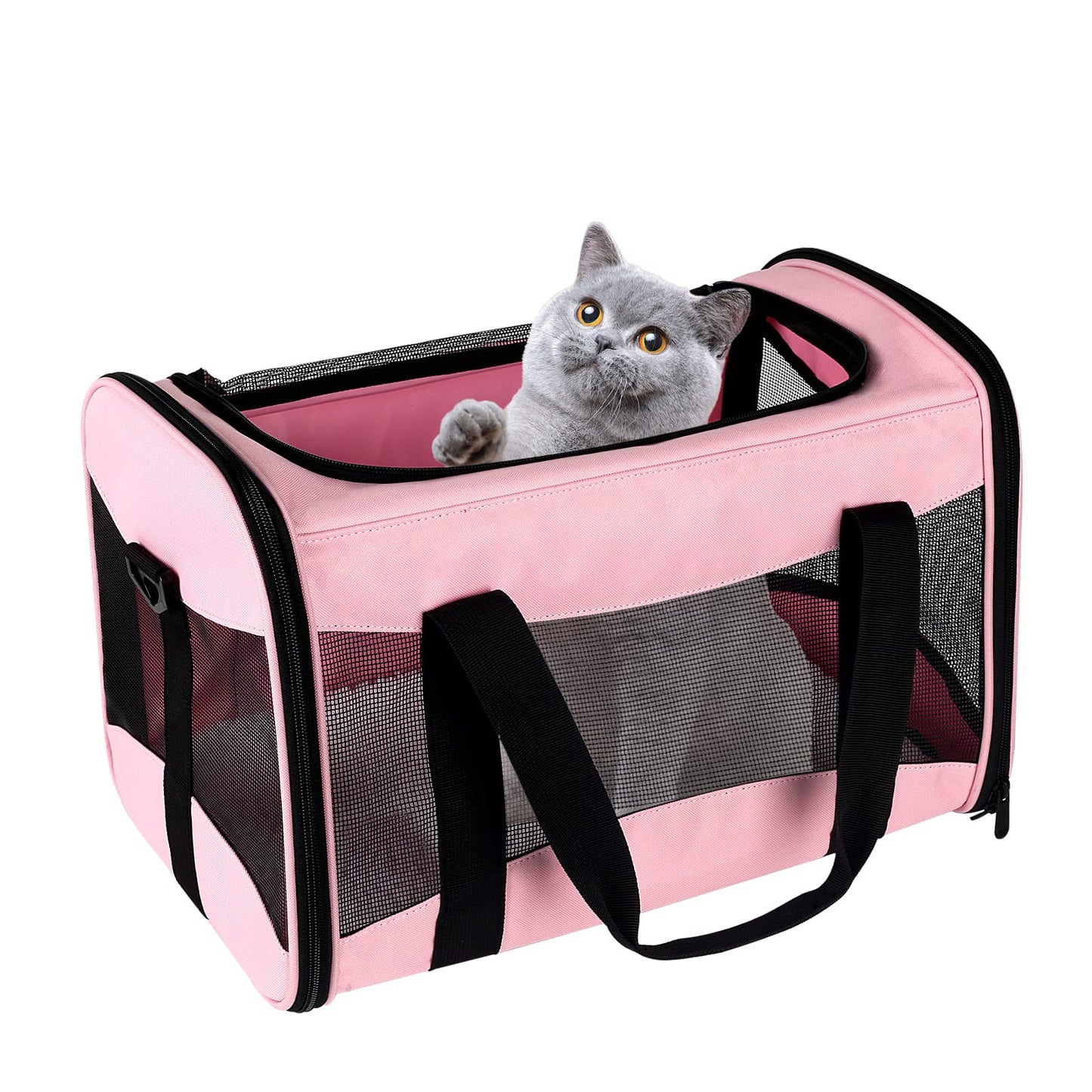 top tasta cat Carrier Large Dog Cat Carriers Puppies up to Carriers