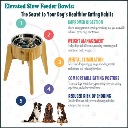 Elevated Slow Feeder Dog Bowls Large Breed (12-inch-high) Raised Bowl