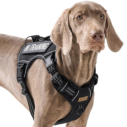 AUNZO Tactical Dog Harness for Large Dogs, for Golden Harness