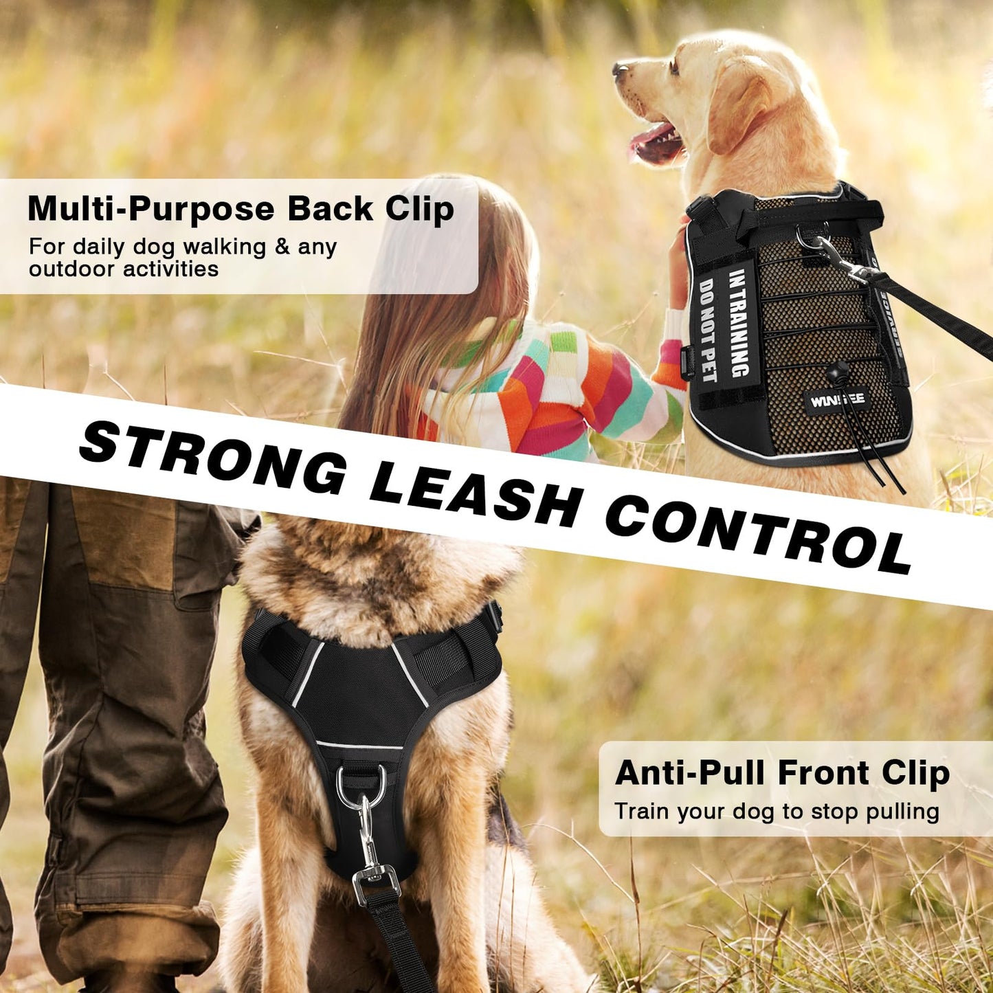 WINSEE Service Dog in Training Mesh Harness with 10 Pet Harness