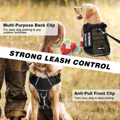 WINSEE Service Dog in Training Mesh Harness with 10 Pet Harness