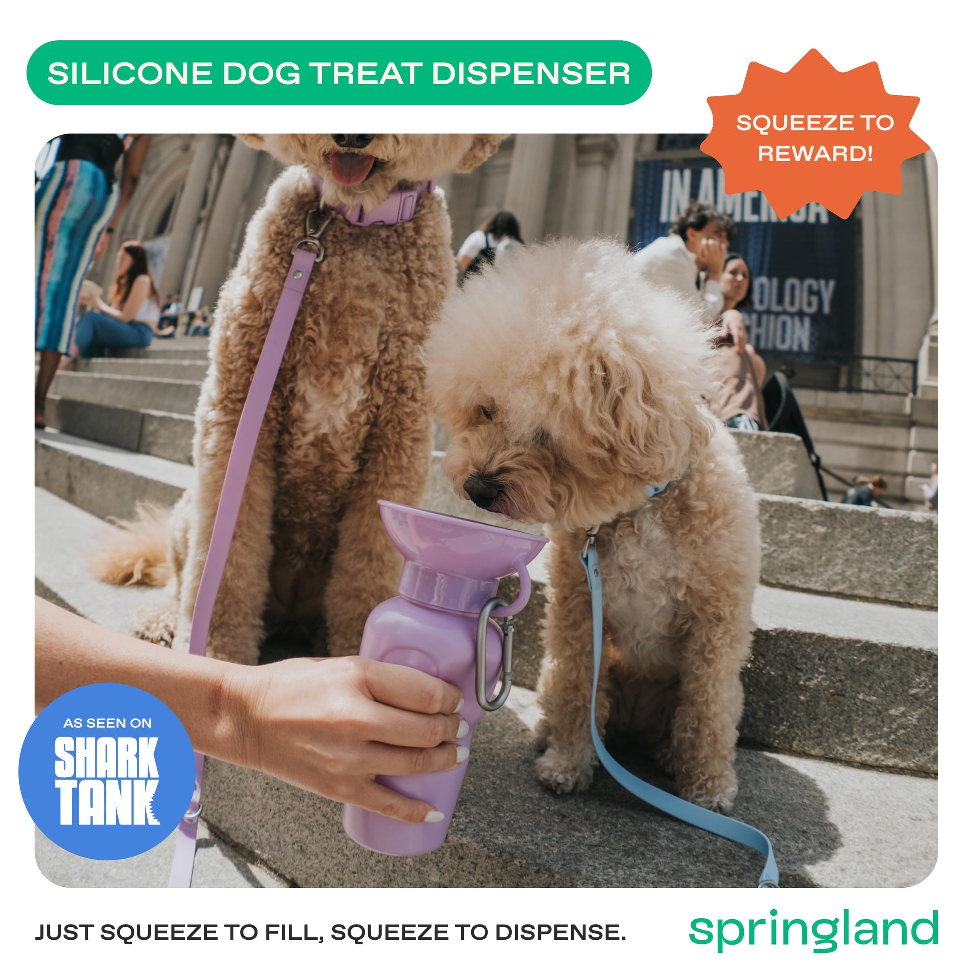 Springer Dog Water Bottle, Portable Travel Drinking Feeder Dispenser