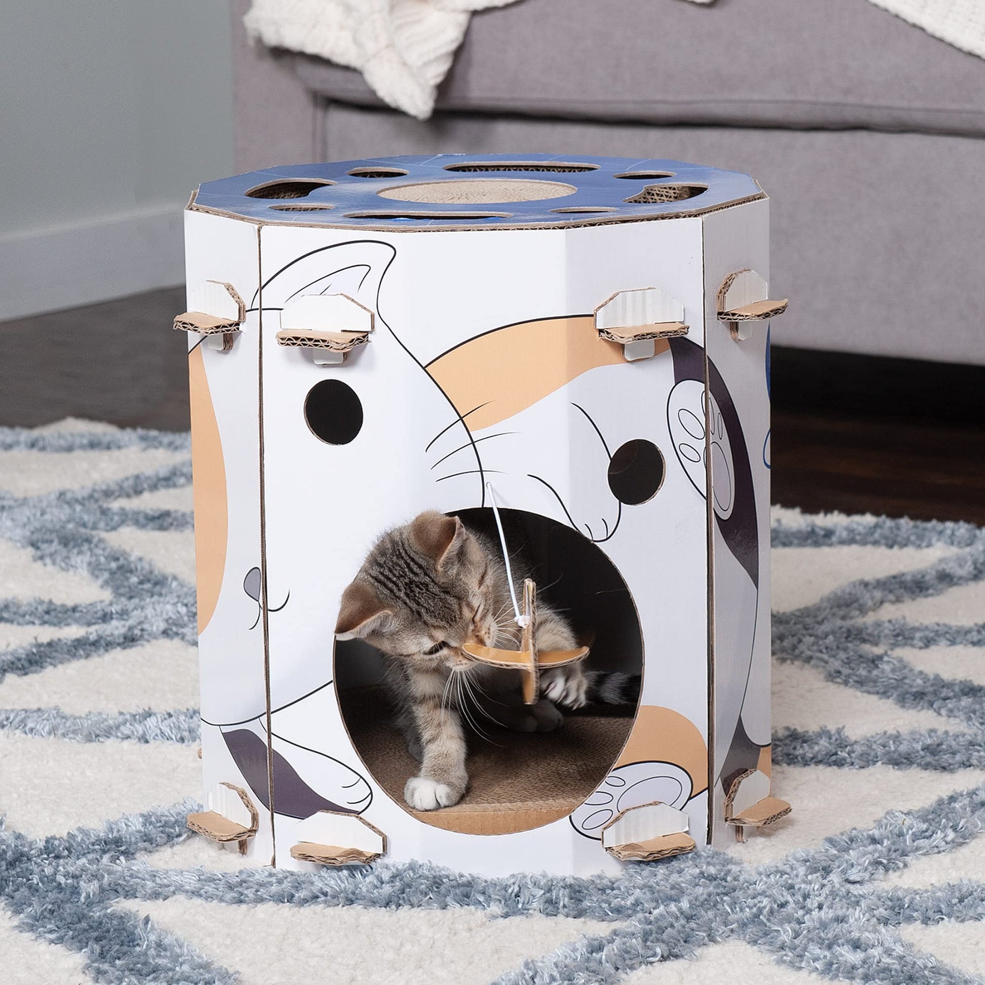 Furhaven Cardboard Hideout w/ Catnip for Indoor Cats, Ft. House