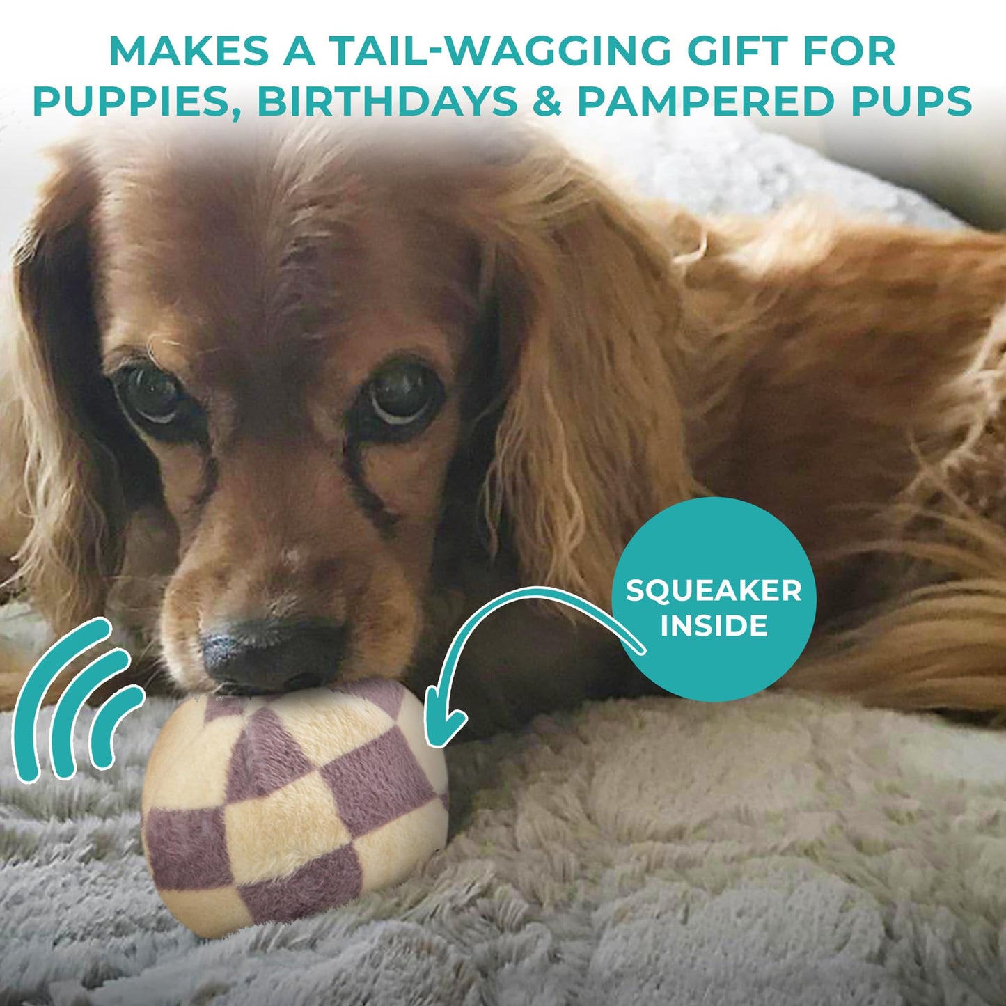 Haute Diggity Dog Chewy Vuiton Trunk Puzzle with 3 Plush Squeaky Plush