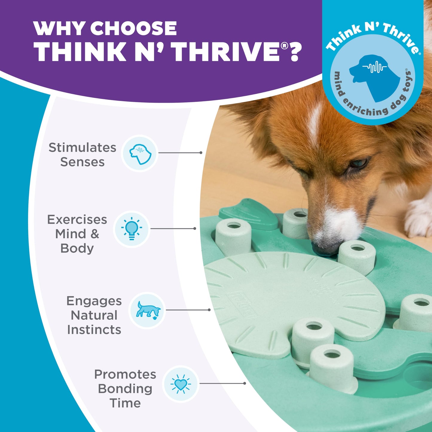 Outward Hound by Nina Ottosson Dog Worker Treat Puzzle Enrichment Toy