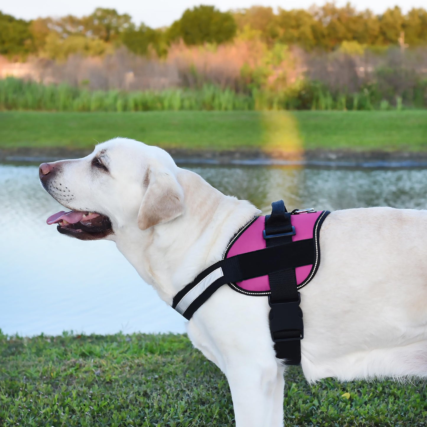 Dogline Reflective No-Pull Adjustable Vest with Handle for Harness
