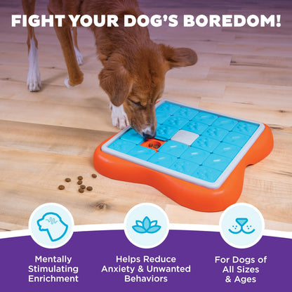 Outward Hound by Nina Ottosson Challenge Slider Interactive Dog Toy