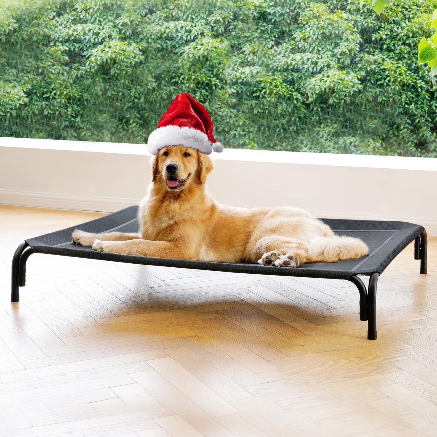Elevated Dog Bed Raised Outdoor Dog Cot for Extra Bed