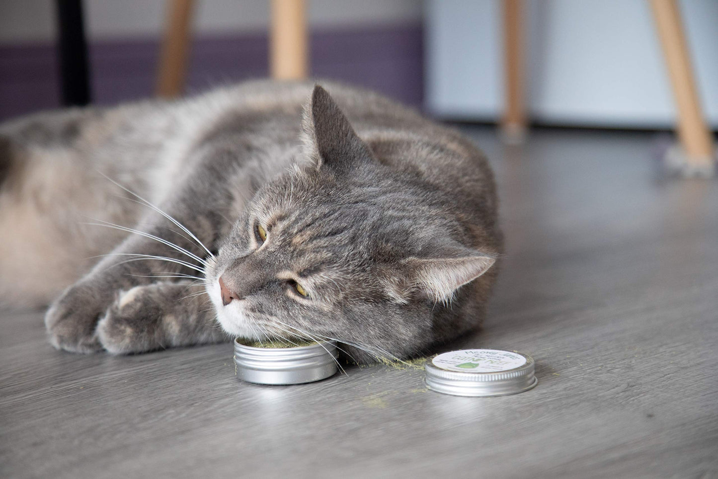 Meowy Janes All Natural Magic Cat Play Powder Catnip and Catnip