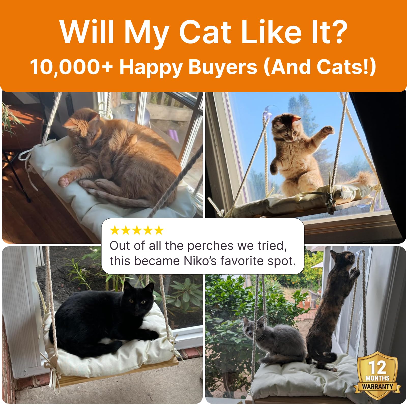 Cat Window Perch with Industrial-Grade Suction Cups Solid Pine Bed
