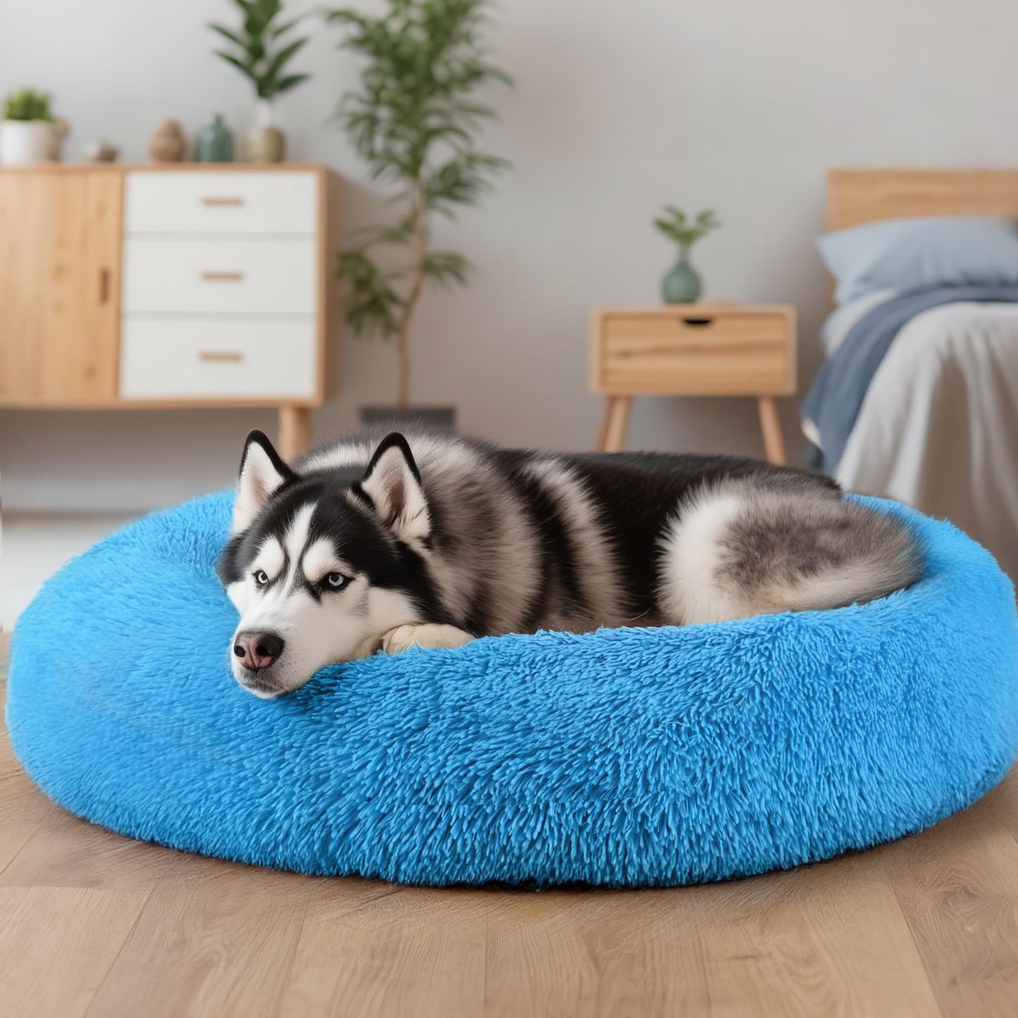 Extra Large Dog Beds, Human Dog Anxiety Relief Comfort Bed