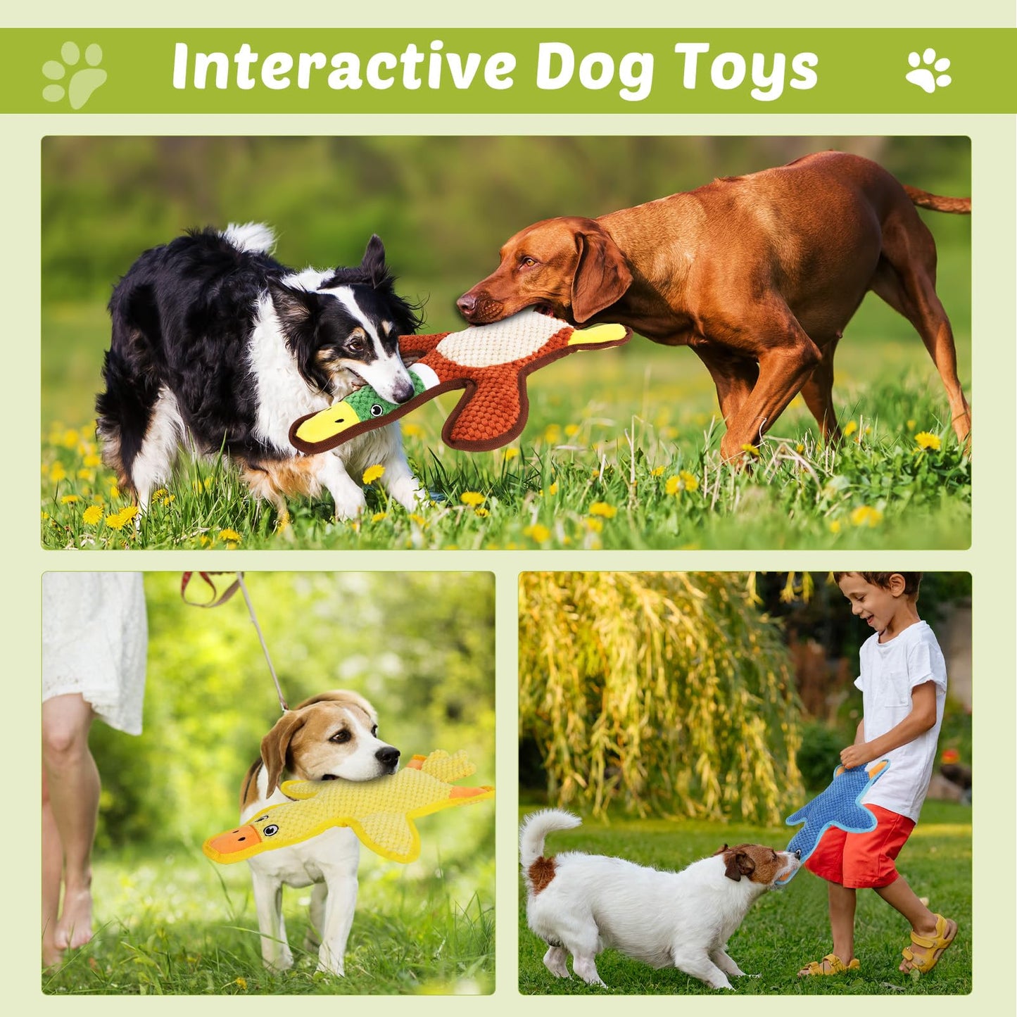 Eneston Dog Toys 3-Pack Cute Duck Shapes Puppy Toys No-Stuffing Chew