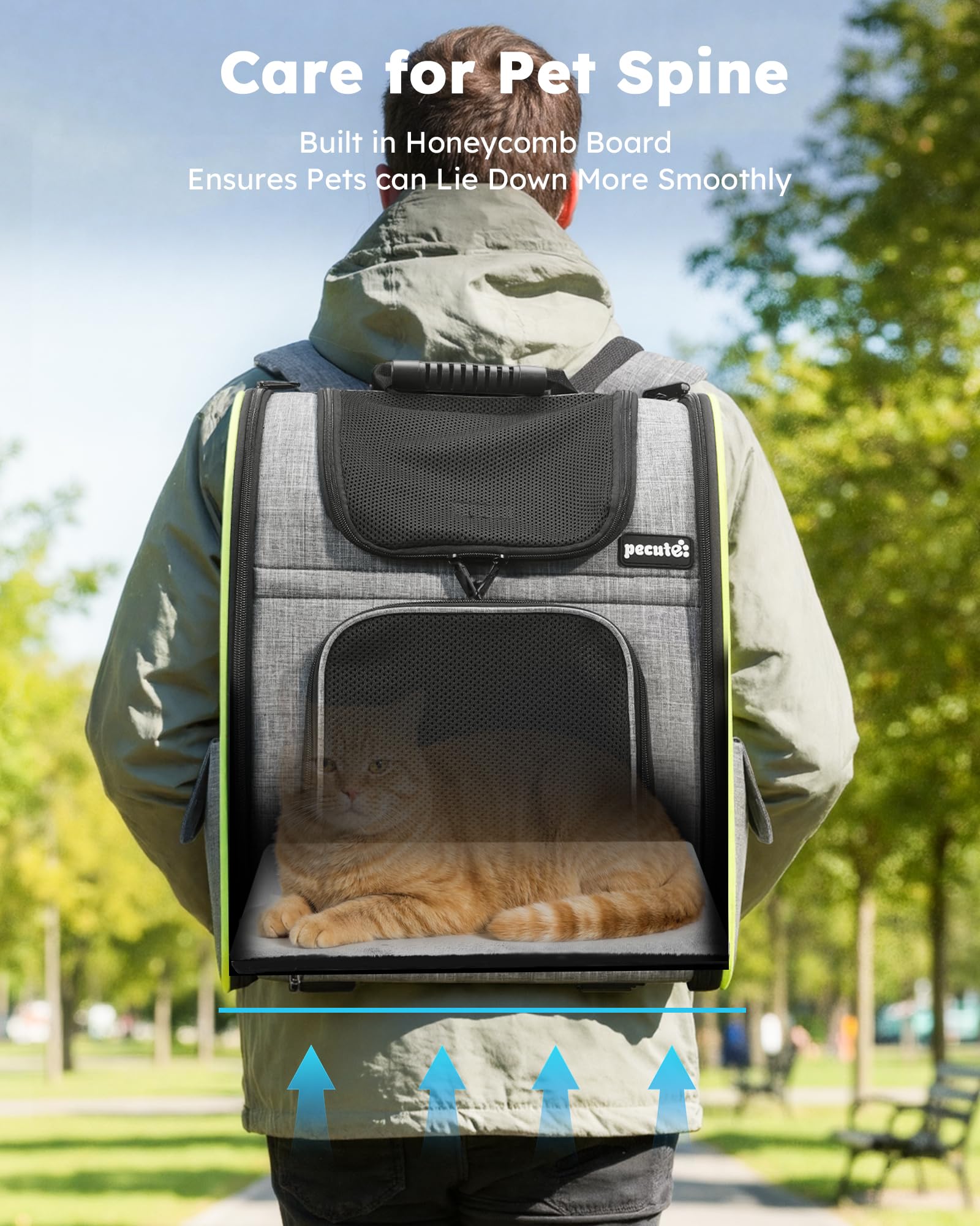 Pecute Cat Backpack Carrier Expandable Foldable Pet Backpack