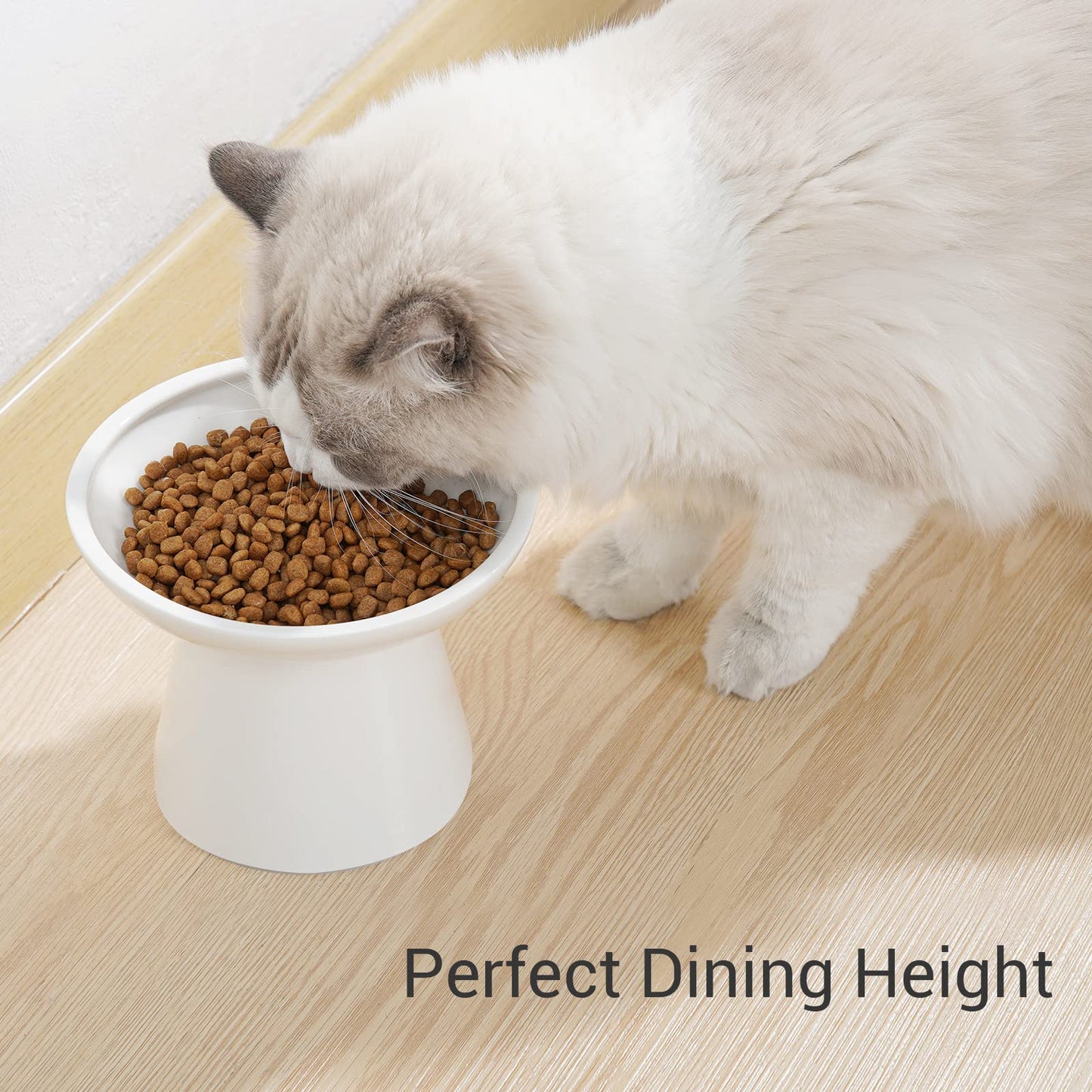 CEEFU Extra Wide Elevated Ceramic Cat Bowl, 6.2" Shallow Dish Bowl