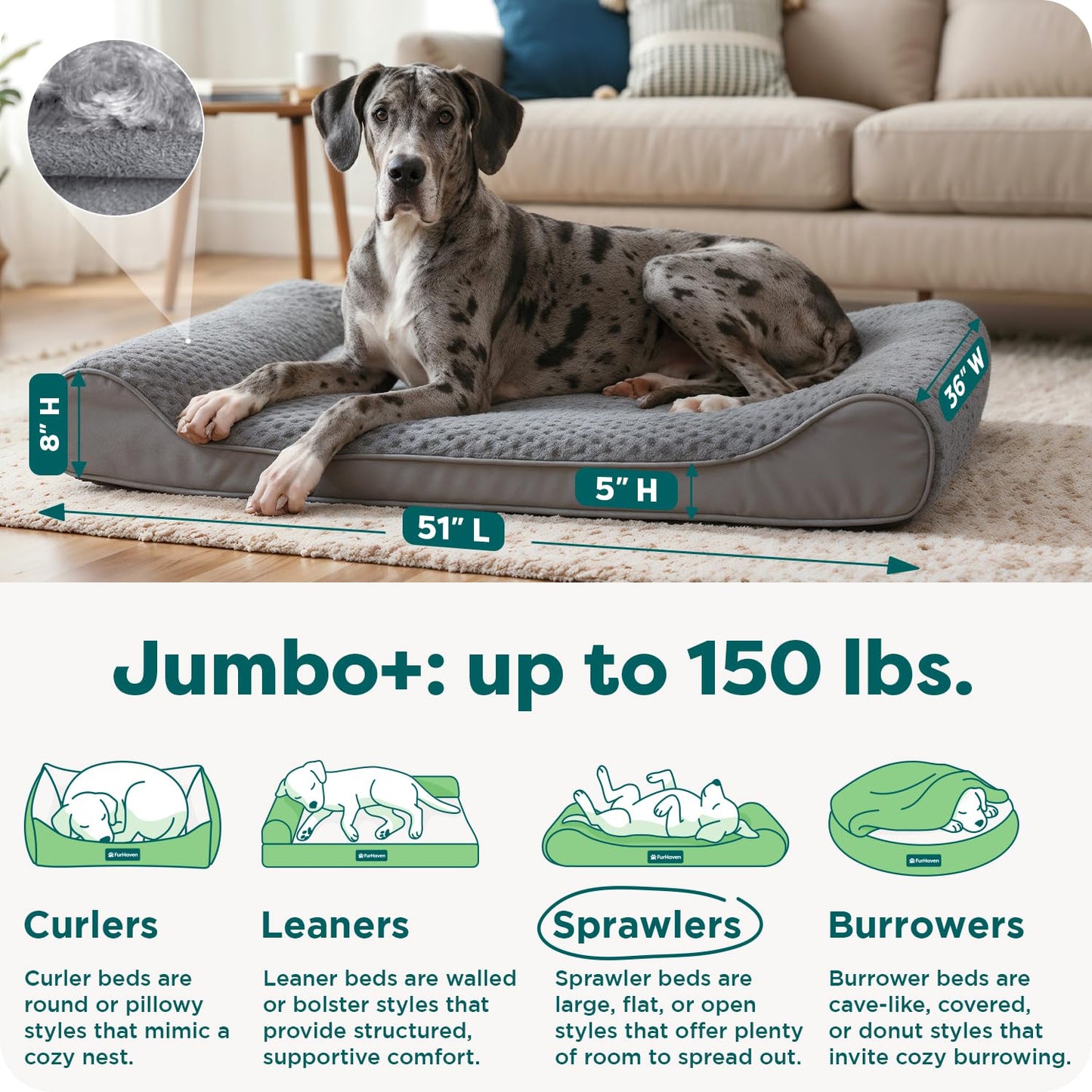 Furhaven Orthopedic Dog Bed for Large Dogs w/ Removable Washable Bed
