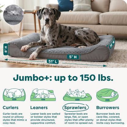 Furhaven Orthopedic Dog Bed for Large Dogs w/ Removable Washable Bed