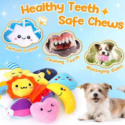 QTwoof Irresistible Weather-Themed 20-Pack Squeaky Dog Toys Set