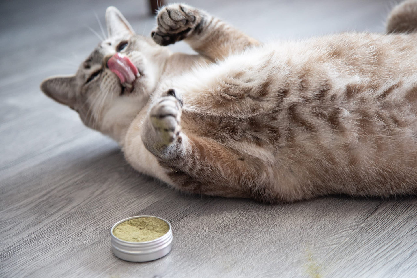 Meowy Janes All Natural Magic Cat Play Powder Catnip and Catnip
