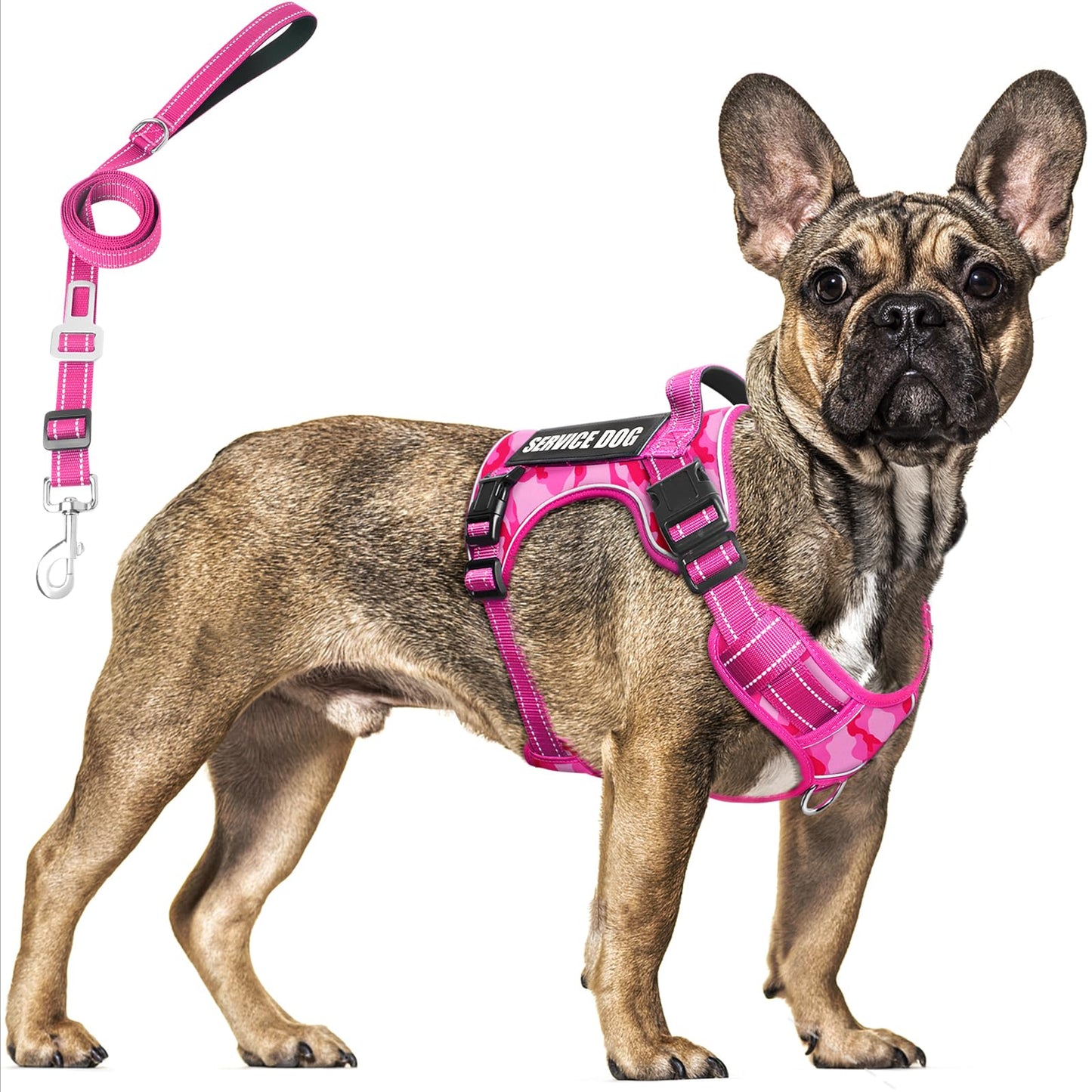 MOOGROU Tactical Service Dog Vest and Leash Set,Heavy Duty No Leash
