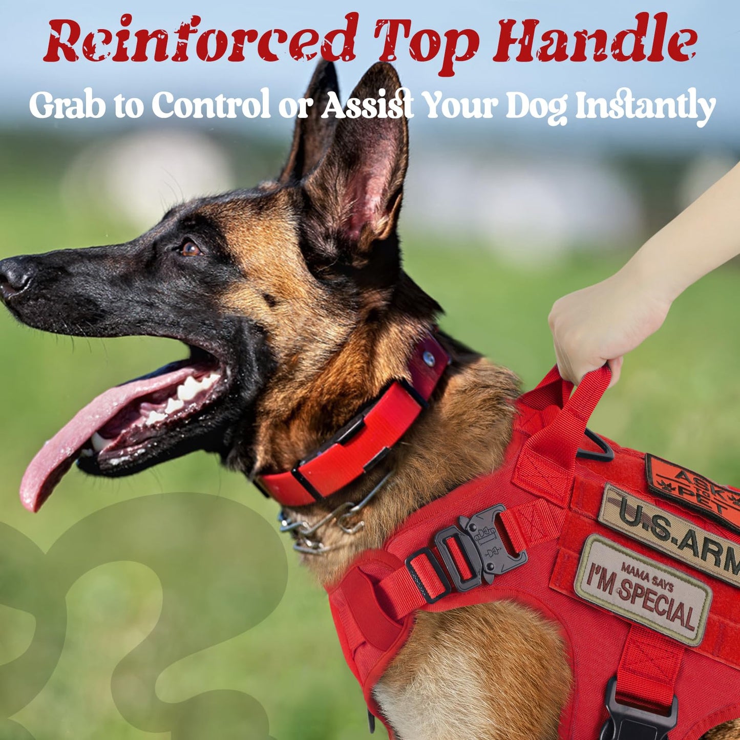 rabbitgoo Tactical Dog Harness for Large Dogs, Heavy Duty Dog Harness