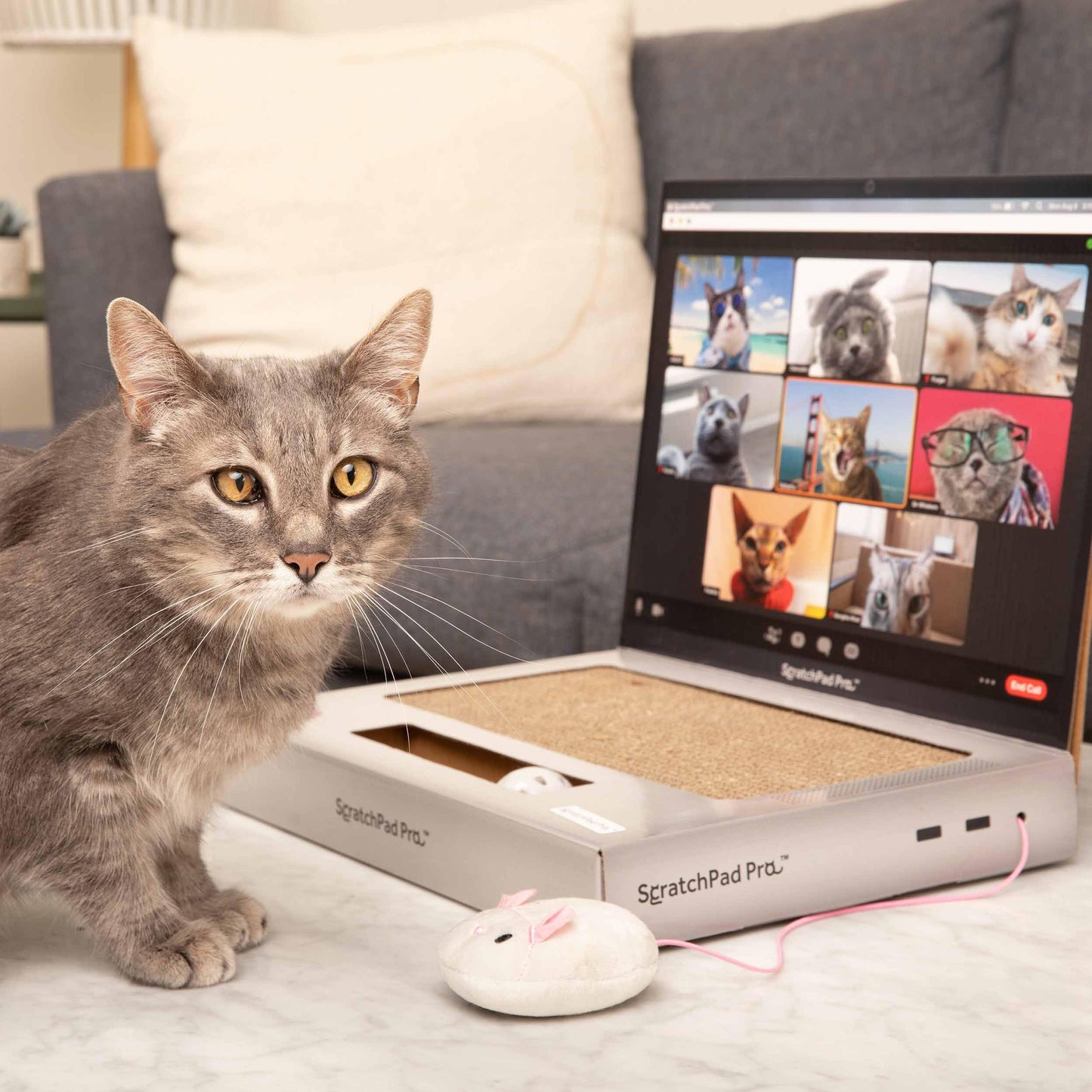 ScratchPad Pro Cardboard Laptop Cat Scratcher, Interactive Scratcher