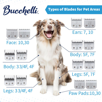 Bucchelli Detachable A Series 7f Blades for Dog Grooming Full Tooth