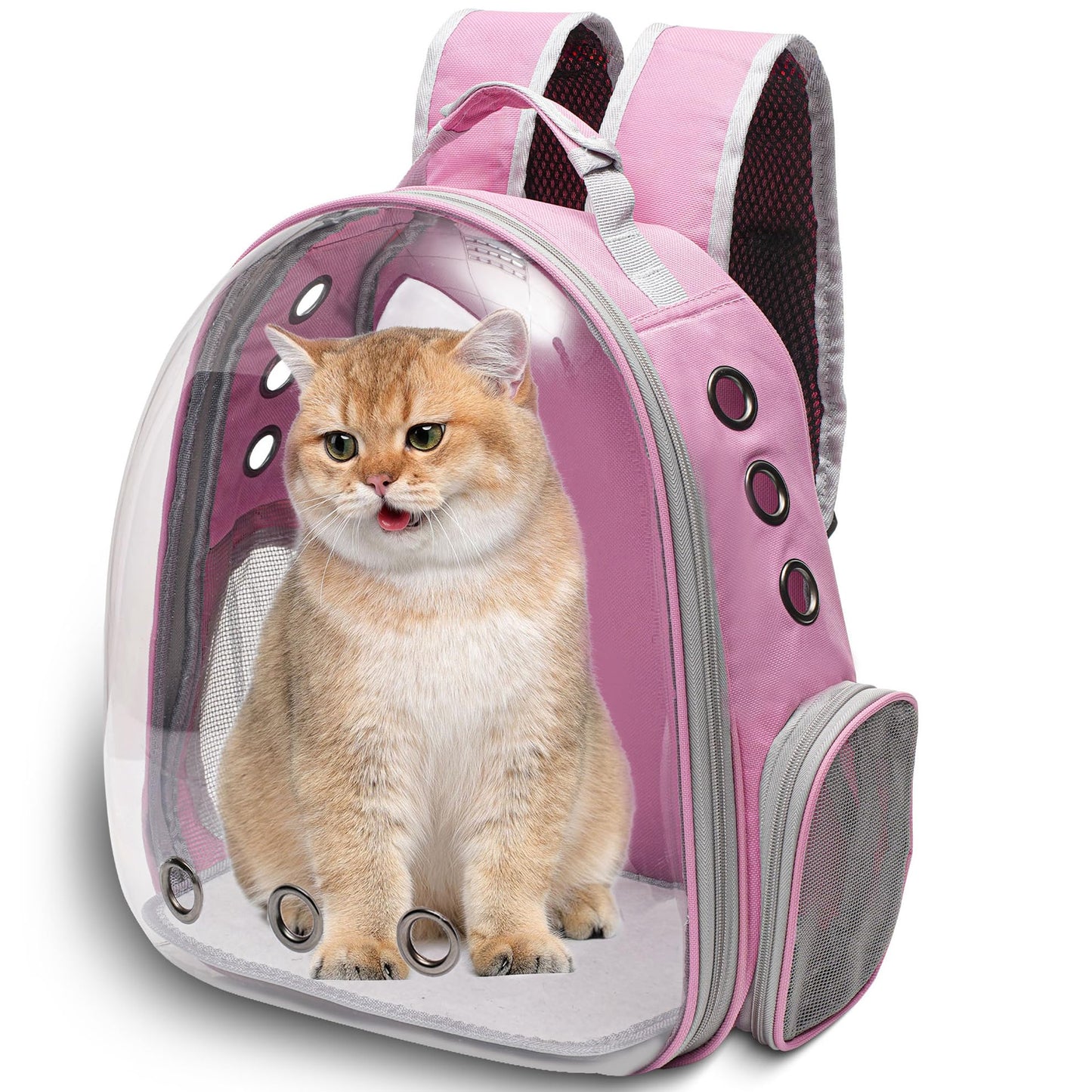 Vivicreate Large Cat Backpack Carrier for Travel and Hiking Carrier