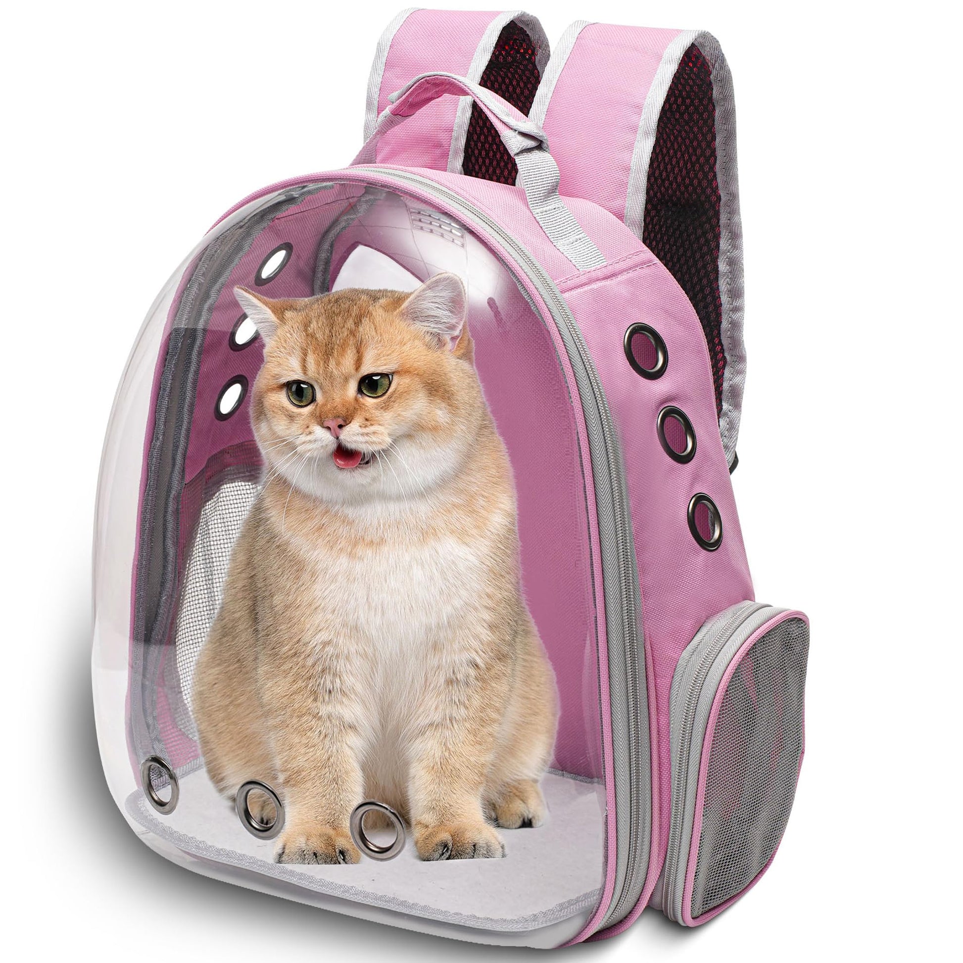 Vivicreate Large Cat Backpack Carrier for Travel and Hiking Carrier