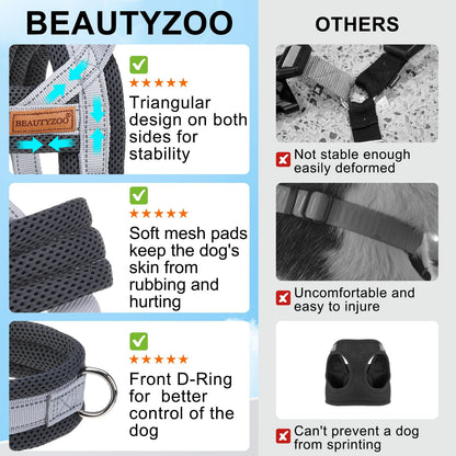 BEAUTYZOO Dog Harness for Small Dogs, No Pull Dog Harness and Leash