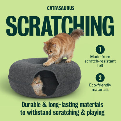 Cattasaurus Peekaboo Cat Cave Duo Jumbo Set, Extra Spacious Cat Bed