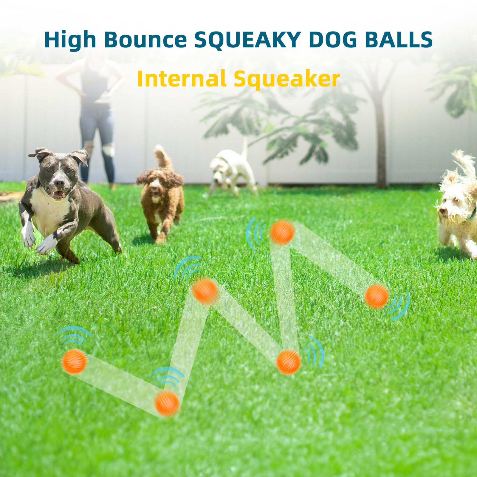 SHARLOVY 3'' Squeaky Balls for Small Dogs, 4 Colors Spiky Dog Balls