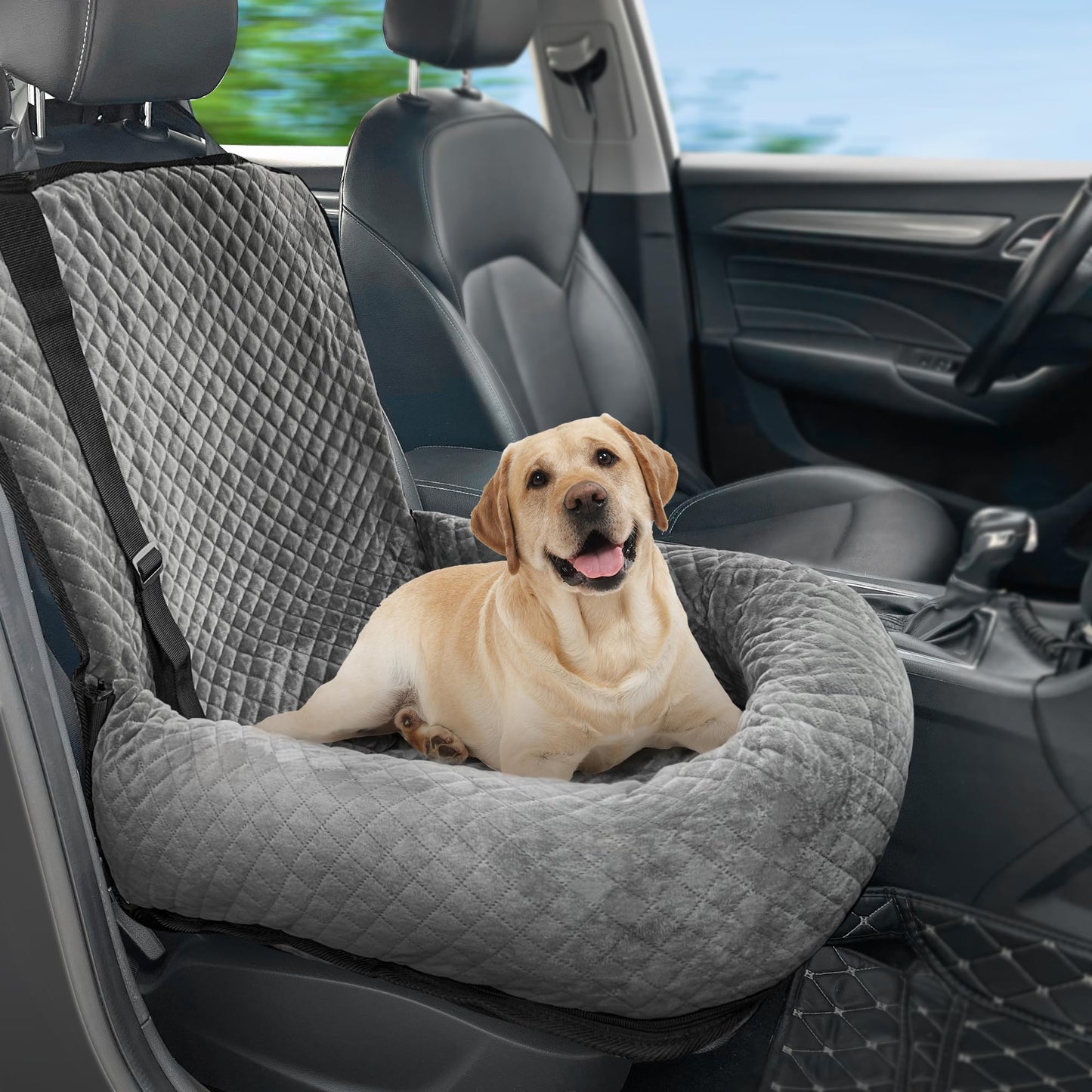 Dog Car Seat for Small Medium Dogs,Detachable Washable Travel Seat