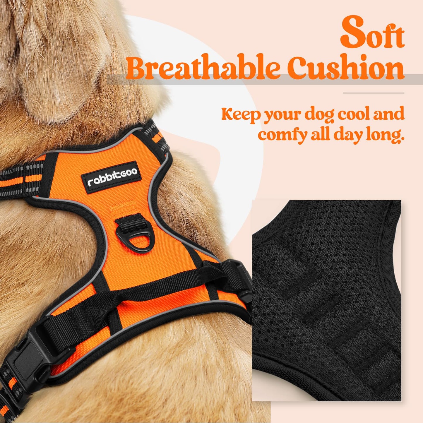 rabbitgoo Dog Harness No Pull with 2 Leash Clips, Adjustable Leash